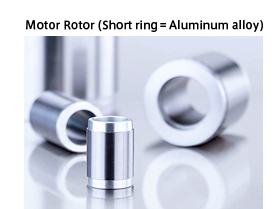 Motor Rotor(Short ring = Aluminum alloy)